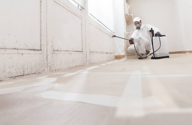 24/7 Emergency Mold Removal experts in Marion, IL